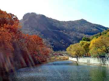 管家婆黑白马报图库，天涯医院